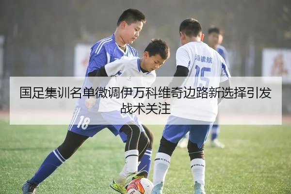 国足集训名单微调伊万科维奇边路新选择引发战术关注