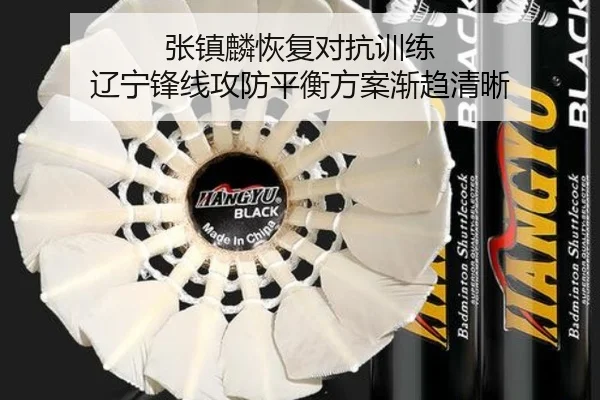 张镇麟恢复对抗训练 辽宁锋线攻防平衡方案渐趋清晰