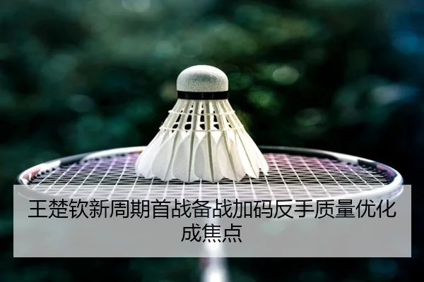 王楚钦新周期首战备战加码反手质量优化成焦点